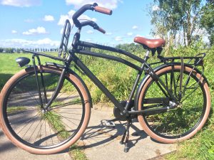 Nieuwe Avalon Cargo Transportfiets